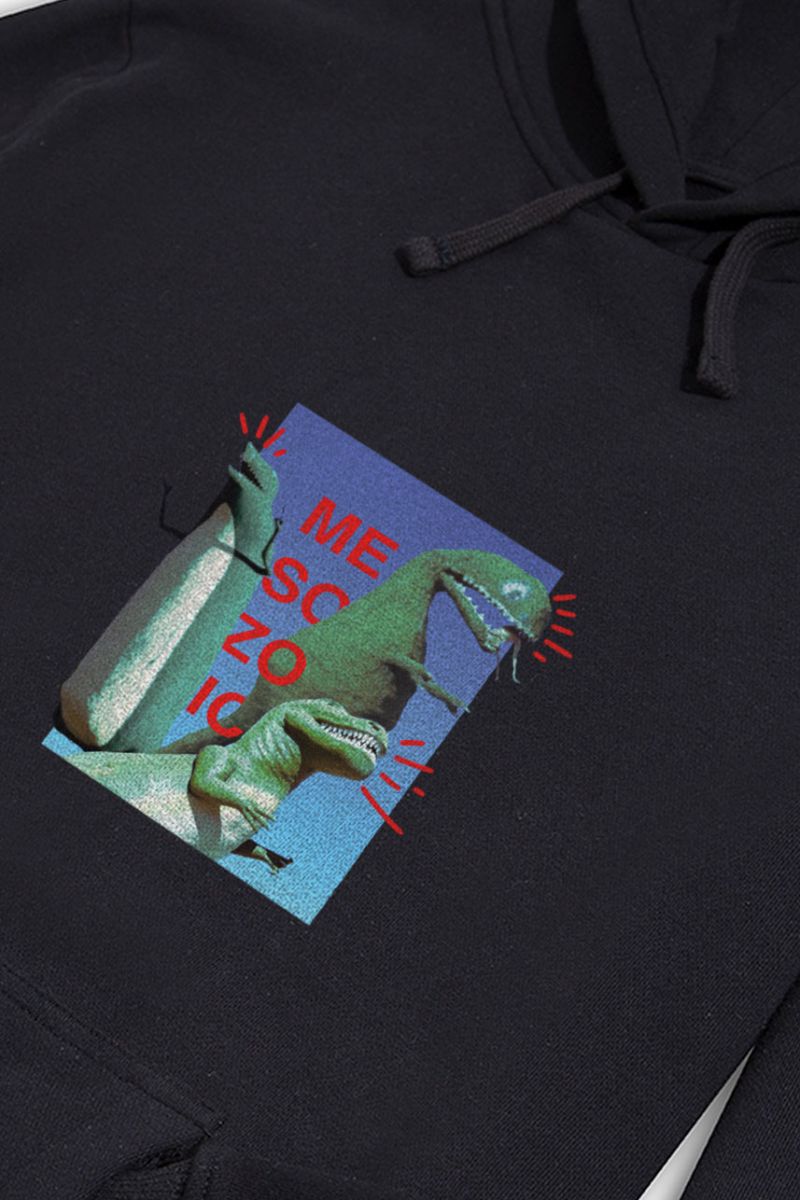 Black Premium Cotton Dinosaurs Design Pullover Hoodie