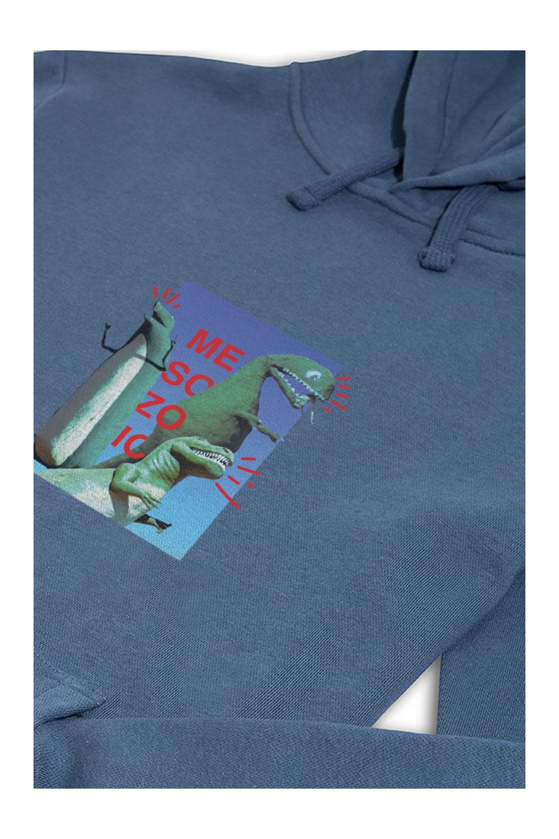 Navy Premium Cotton Dinosaurs Design Pullover Hoodie