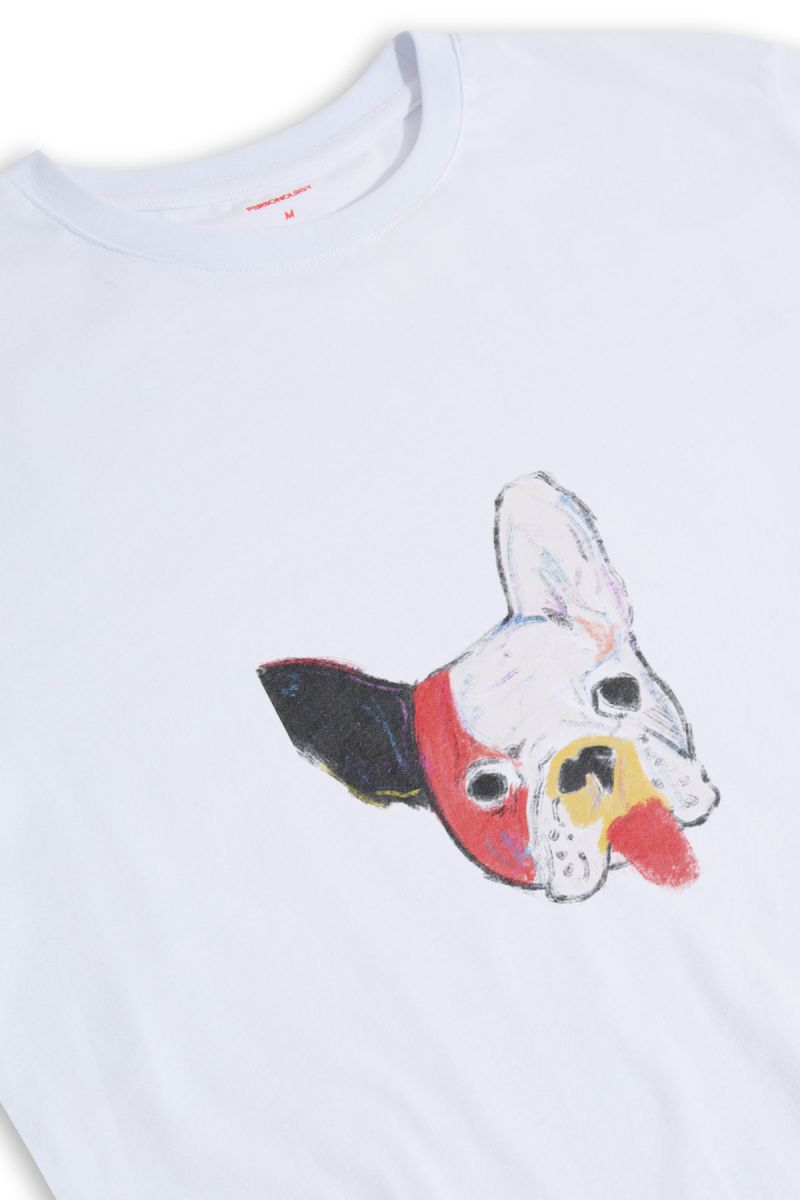 White Soft Fabric Rainbow Chihuahua Design Short Sleeve Tee