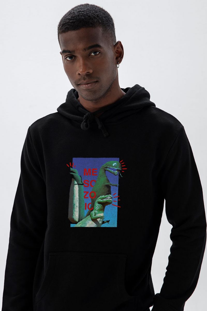 Black Premium Cotton Dinosaurs Design Pullover Hoodie