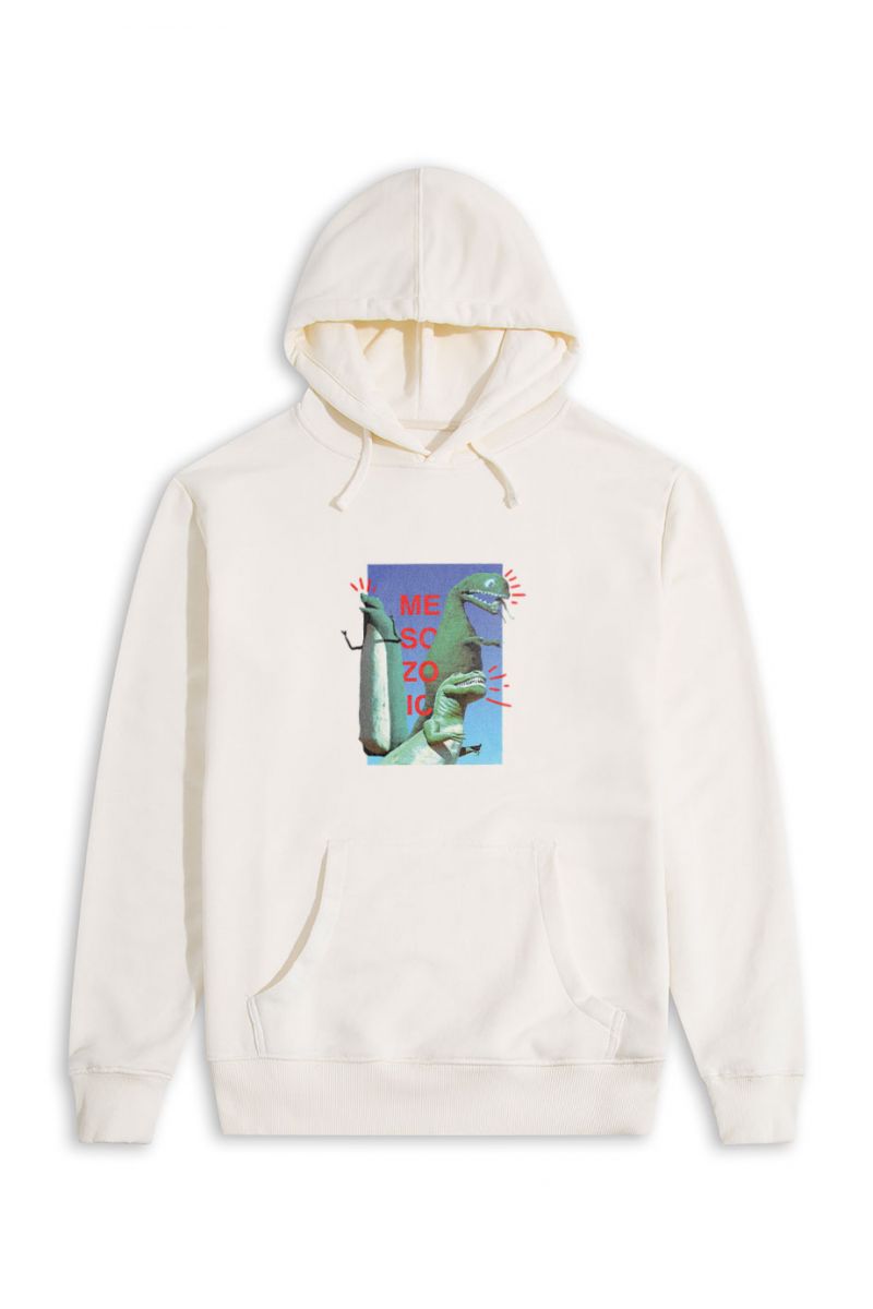 Ecru Premium Cotton Dinosaurs Design Pullover Hoodie