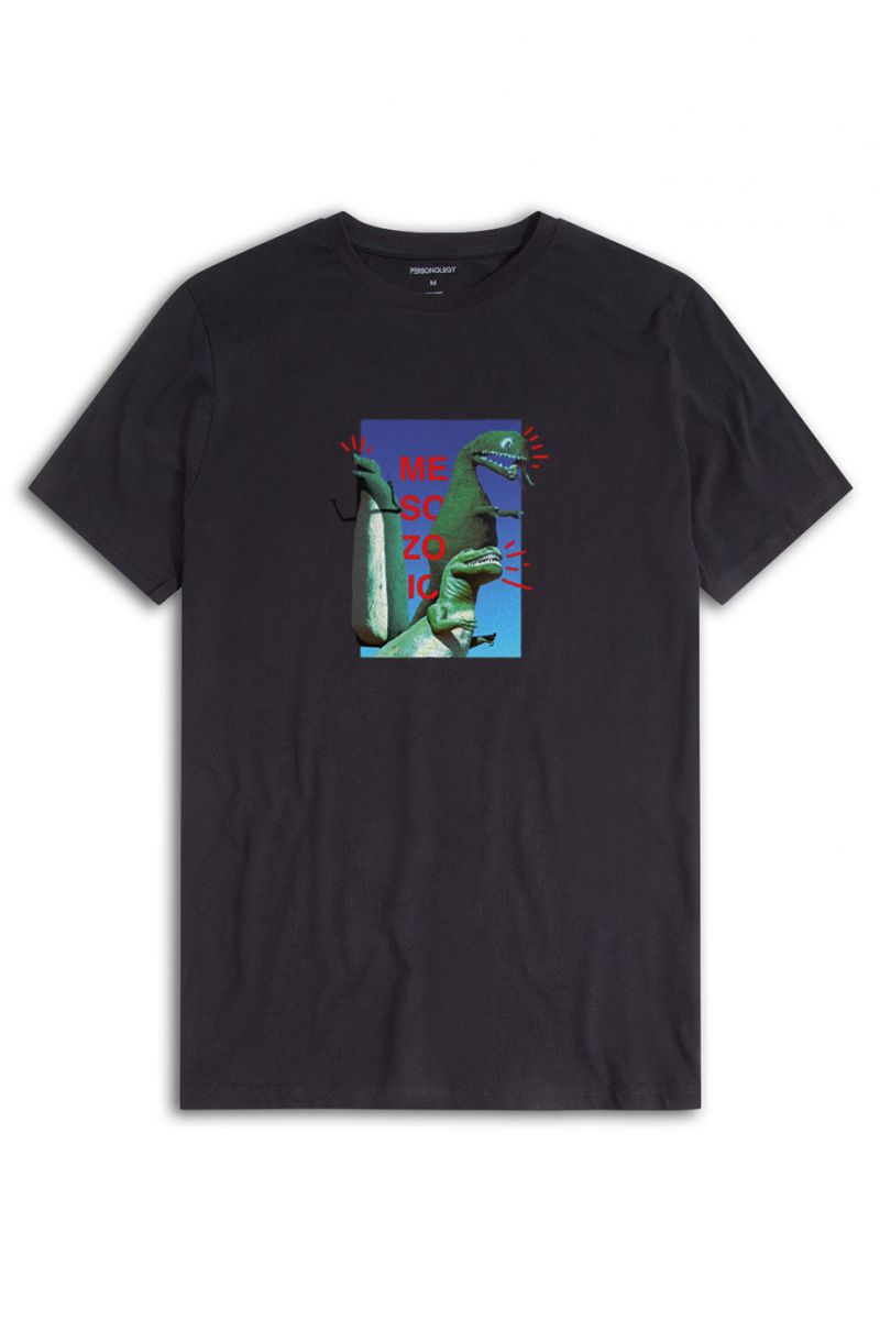 Black Soft Fabric Dinosaurs Design Short Sleeve Tee