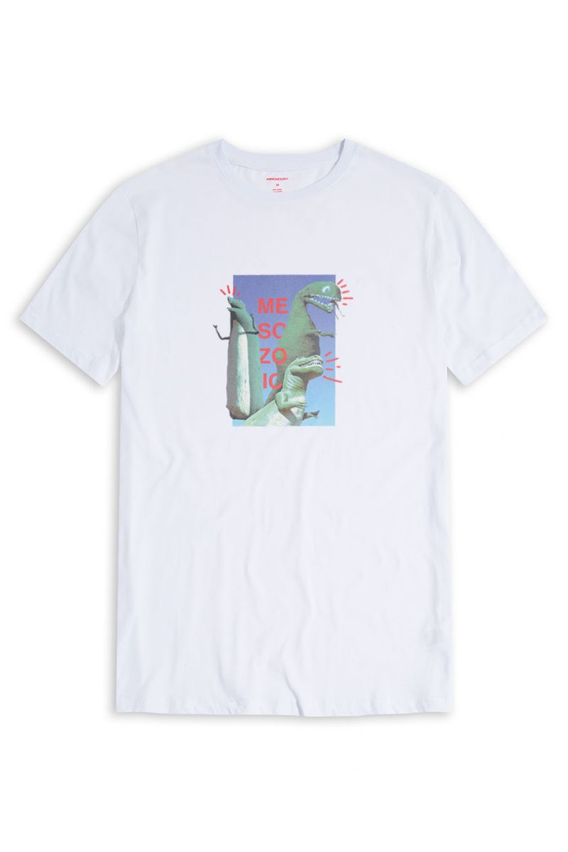 White Soft Fabric Dinosaurs Design Short Sleeve Tee