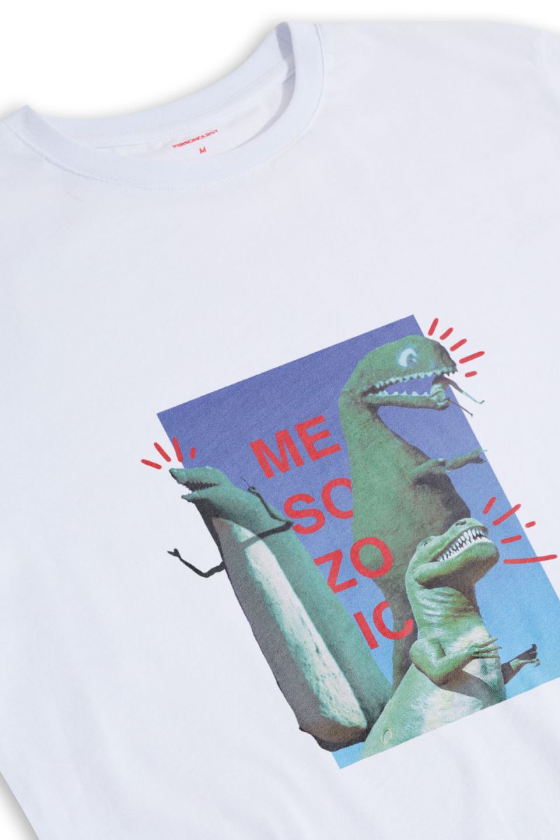 White Soft Fabric Dinosaurs Design Short Sleeve Tee